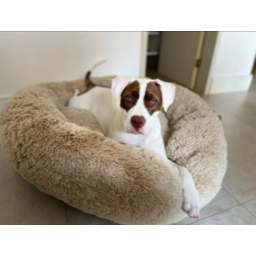 Cama Nuvem Cachorros e Gatos Pelúcia Luxo M 60x60:Bege - 6