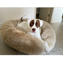 Ver imagem 6 de Cama Nuvem Cachorros e Gatos Pelúcia Luxo M 60x60:Bege