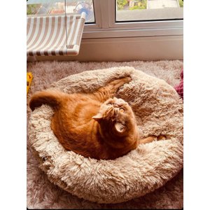 Cama Nuvem Cachorros e Gatos Pelúcia Luxo M 60x60:Bege