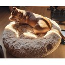 Ver imagem 3 de Cama Nuvem Cachorros e Gatos Pelúcia Luxo M 60x60:Bege