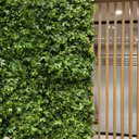 Ver mais imagens de 14 Tapetes de Plantas Artificiais Jardim Parede Muro Inglês para Decoração Moderna Interna e Externa