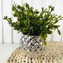 Ver imagem 2 de Vaso Cachepot Prata em Alto Relevo 3d Decoração Casa