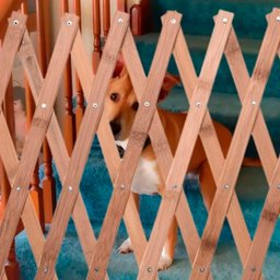 Portao Pet Cao Cachorro Bebe Criança Bambu Retratil Sanfonado Cercado Proteçao Segurança Resistente  - 5