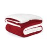 Cobertor Pele Carneiro Cobertor Queen Size Vermelho Dupla Face - 1