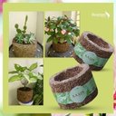 Ver imagem 3 de 4 Vaso De Fibra Xaxim De Palmeira - Grande Platas Ecológico