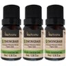 3 Óleos Essenciais para Aromatizador 100% Natural Lemongrass Via Aroma Essências 10ml - 1