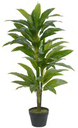 Ver imagem 1 de Planta Árvore Artificial Dracena Real Toque C/Pote X49 Verde 1,1m