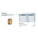 Ver imagem 3 de Válvula de Retenção com Sede em Polietileno 1.1/4" - Emmeti