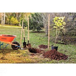 Pá Jardineira 444-00 em Aço com Cabo de Madeira 71 Cm com Empunhadura Plástica Reta Ergon - 2