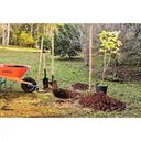 Ver imagem 2 de Pá Jardineira 444-00 em Aço com Cabo de Madeira 71 Cm com Empunhadura Plástica Reta Ergon