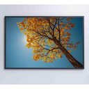 Ver imagem 4 de Quadro Ipê Amarelo 90x60 Cm Vidro Impresso