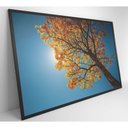 Ver imagem 6 de Quadro Ipê Amarelo 90x60 Cm Vidro Impresso