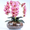 Ver imagem 1 de Arranjo 4 Orquídeas Artificiais Rosa em Vaso de Vidro Nara