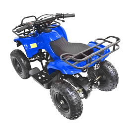 Adv Super Mini Quadriciclo 49cc Xw-a16 - 4