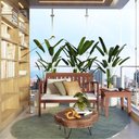 Ver mais imagens de Banco de Madeira para Área Externa Havelock