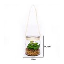 Ver imagem 6 de Folhagem Suculenta de Pendurar com Vaso de Vidro Verde 11,5 Cm F04 - D’Rossi
