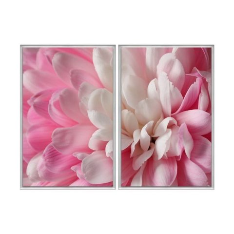 Kit 02 Quadros Decorativos - Flor Rosa e Branca Flnt056 - Tela Canvas - 40x60cm