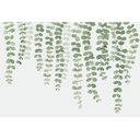 Ver imagem 1 de Papel De Parede Autoadesivo Infantil Folhas PENDURADAS 269X90 + 249X90