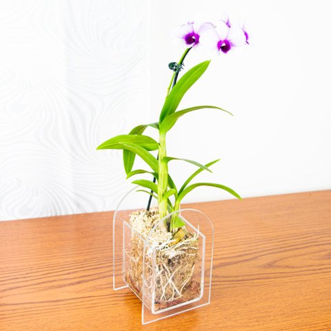 Vaso Decorativo Em Acrílico Cristal 16x10,5x9