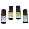 KIT 4 u ÓLEO ESSENCIAL FARMAX 4x10ML: 1 OE MELALEUCA TEA TREE + 1 OE HORTELÃ PIMENTA MENTA - 1