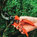 Ver imagem 5 de Tesoura para Poda 8 POL ROBUST