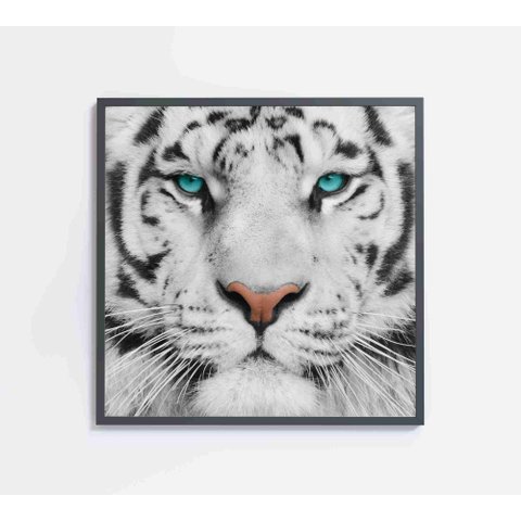 Quadro Decorativo Tigre Branco - 80x80 Cm - Vidro Impresso