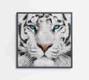 Ver imagem 1 de Quadro Decorativo Tigre Branco - 80x80 Cm - Vidro Impresso