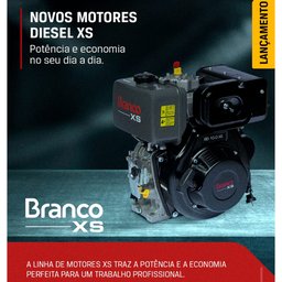 Motor a Diesel 4 Tempos 10cv Partida Manual Bd10.0exs Branco - 5