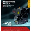 Ver imagem 5 de Motor a Diesel 4 Tempos 10cv Partida Manual Bd10.0exs Branco
