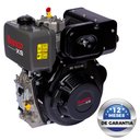 Ver imagem 2 de Motor a Diesel 4 Tempos 10cv Partida Manual Bd10.0exs Branco
