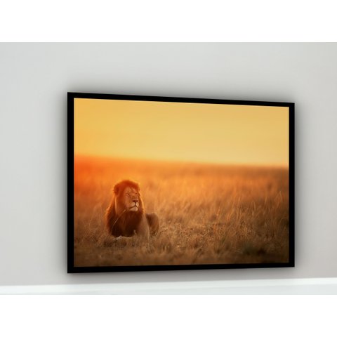 Quadro Decorativo Leão Savana - 70x50cm:moldura Branca