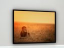 Ver imagem 1 de Quadro Decorativo Leão Savana - 70x50cm:moldura Branca