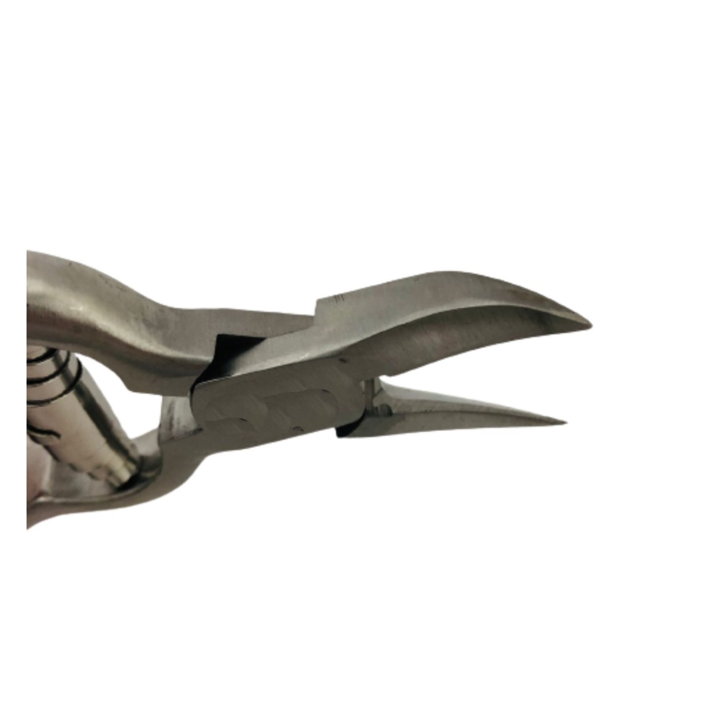 Alicate Para Corais Mantis 14x4,5 | MadeiraMadeira