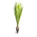 Ver imagem 1 de Planta Artificial Dracena Garrafa Real Toque X37 Verde 120 Cm F04 - D’Rossi