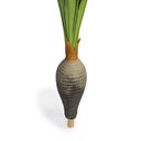 Ver imagem 3 de Planta Artificial Dracena Garrafa Real Toque X37 Verde 120 Cm F04 - D’Rossi