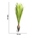 Ver imagem 4 de Planta Artificial Dracena Garrafa Real Toque X37 Verde 120 Cm F04 - D’Rossi