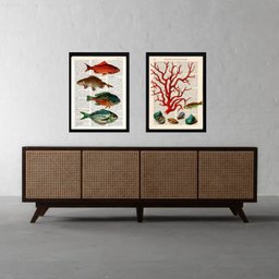 Kit 2 Quadros Casa de Praia- Peixes e Alga 45x34cm:madeira Branca - 2