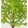 Buque Selaginella x 13 Folhas Planta Realista Luxo 46 cm - 3