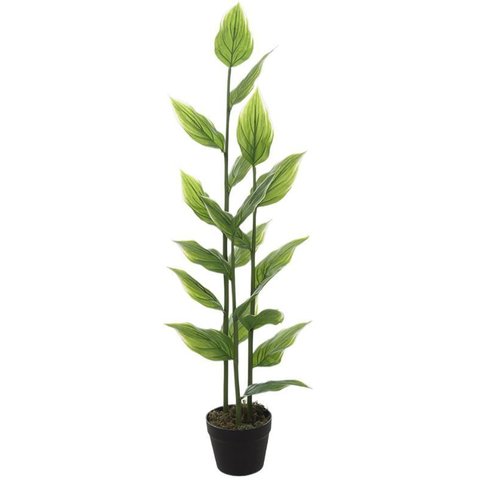 Planta Artificial Arvore Hosta Real Toque C/pote X19 Verde Creme 1,2m