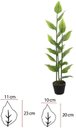 Ver imagem 2 de Planta Artificial Arvore Hosta Real Toque C/pote X19 Verde Creme 1,2m