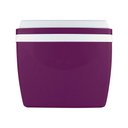 Ver imagem 4 de Caixa Térmica 34 Litros Berinjela