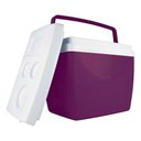 Ver imagem 6 de Caixa Térmica 34 Litros Berinjela