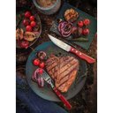 Ver imagem 3 de Conjunto de 12 Talheres de Aço Inoxidável com Cabos de Madeira Polywood Tramontina Vermelho