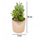 Ver imagem 5 de Vaso Decorativo Dourado com Suculentas Artificiais Sortidas 19x8 cm F04 - D’Rossi Vaso com Su