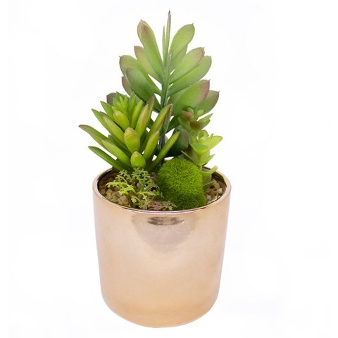 Vaso Decorativo Dourado com Suculentas Artificiais Sortidas 19x8 cm F04 - D’Rossi Vaso com Su
