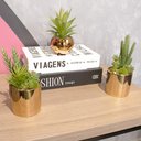 Ver imagem 2 de Vaso Decorativo Dourado com Suculentas Artificiais Sortidas 19x8 cm F04 - D’Rossi Vaso com Su