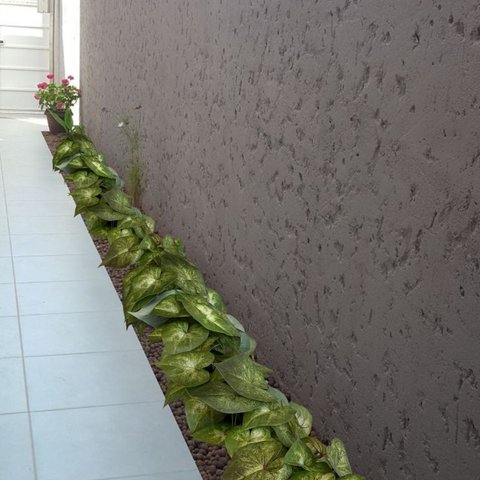 Kit 20 Buquês de Singônio Verde Artificial Folhagens Permanente com Alta Qualidade e Toque Natural