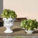 Ver imagem 5 de Kit 20 Buquês de Singônio Verde Artificial Folhagens Permanente com Alta Qualidade e Toque Natural