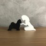Dueto Menina e seu Lhasa Apso (pelo longo) Pequeno Vegras Cacheado Branco - 1
