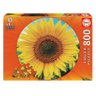 Puzzle 800 peças Circular Girassol - Educa - 3